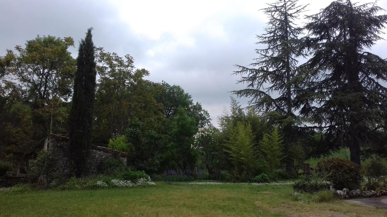 Domaine De Seguela Bed & Breakfast Fargues  Exterior photo