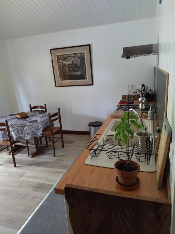 Domaine De Seguela Bed & Breakfast Fargues  Exterior photo
